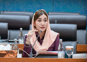 Anggota Komisi VII DPR RI Novita Hardini