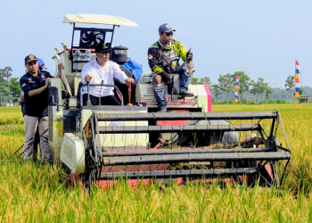 Modernisasi pertanian di Desa Mojorembun, Kecamatan Kaliori, membuahkan hasil.