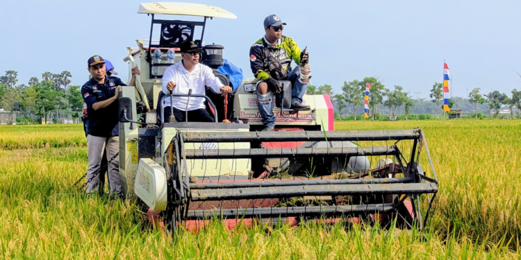 Modernisasi pertanian di Desa Mojorembun, Kecamatan Kaliori, membuahkan hasil.