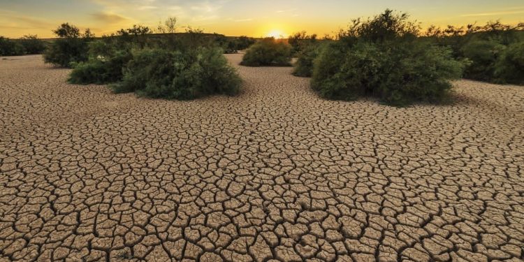 Ilustrasi musim kemarau