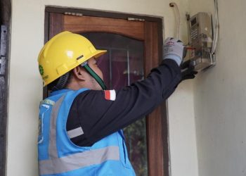 Petugas PLN