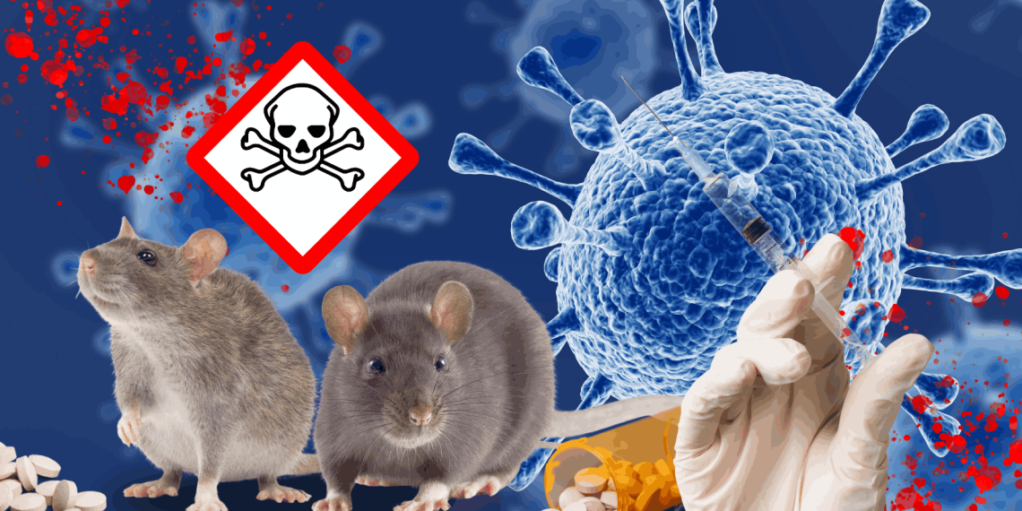 Ilustrasi virus yang muncul dari tikus.