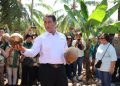 Menteri Pertanian (Mentan) Andi Amran Sulaiman menemukan ketidaksesuaian dalam pelaksanaan program pembibitan kelapa di Manado, Sulawesi Utara