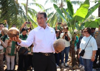Menteri Pertanian (Mentan) Andi Amran Sulaiman menemukan ketidaksesuaian dalam pelaksanaan program pembibitan kelapa di Manado, Sulawesi Utara